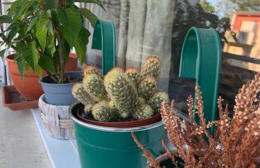 PARENTIUM TOWN BEACH - Photo 21