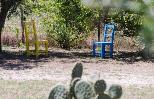 19th century Trullo Raeda in the middle of nature - Foto 24