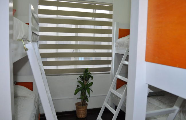 Suite Regina 94 - Photo 5