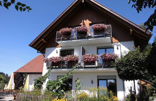 Gasthof Grüner Baum "Kongo" - Foto 22