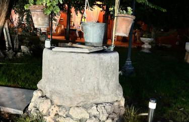 La Cija Olmedo - Foto 43