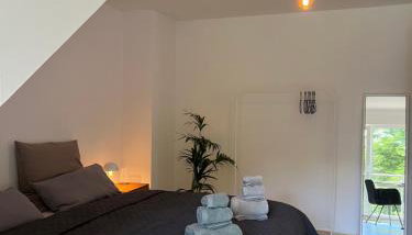 Lichtdurchflutetes Appartement im zentralen Ruhrgebiet - Foto 3