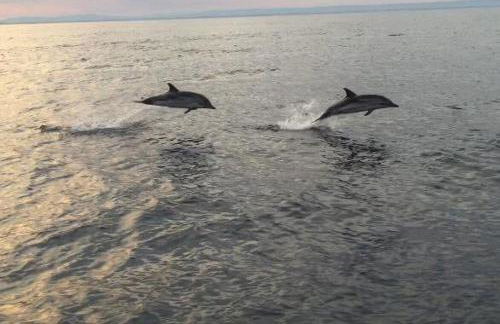 Villa Pavone - Foto 17