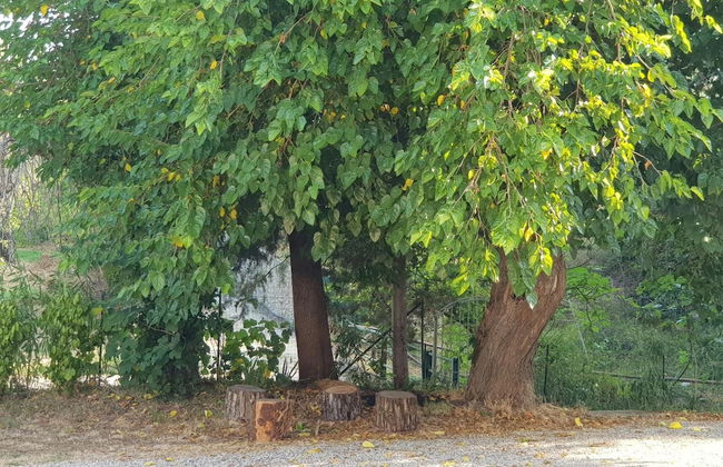 Il Ruscello di Ceraso - Foto 15