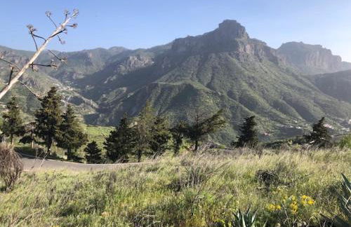 Casa-Finca El Maipéz de Tejeda - Foto 18