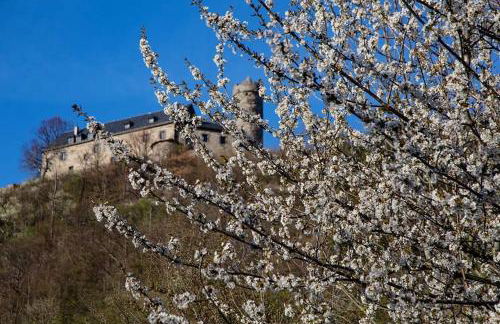Bungalow Schwarzatalblick in Bad Blankenburg Ortsteil Böhlscheiben - Foto 39