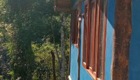 Ecocasa azul - Chalé na mata - Foto 3, Garden view