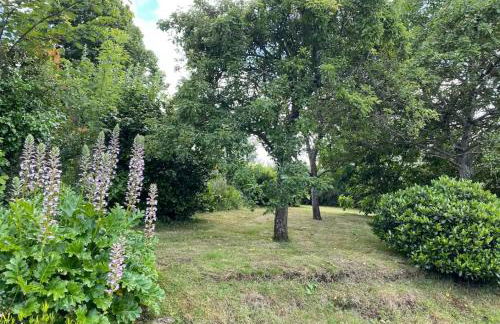Maison avec parc arboré entre terre et mer - Foto 15