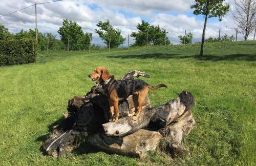 Holiday Home Cascina Castello by Interhome - Foto 22