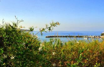 Nikoleta's Studios - Photo 38