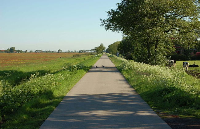 Holiday Home in Workum on a Farm - Photo 29