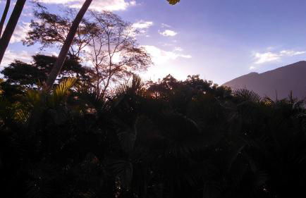 Casa de Araras - Foto 76