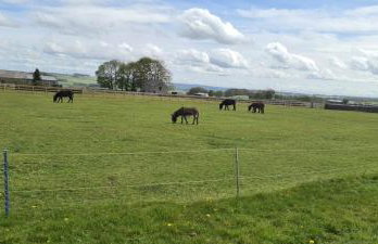 Greystones nawab sleep 6 C buxton in peak park - Foto 7