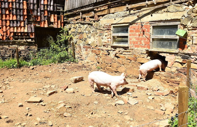 Ferienwohnung mit Eigener Terrasse in Huddingen - Foto 12