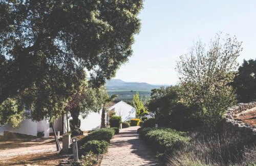 Charming house in Estepa with shared pool. - Foto 26
