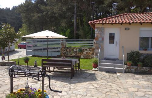 AMISIANA LITTLE BEAUTY NEXT TO NATURE - Foto 20