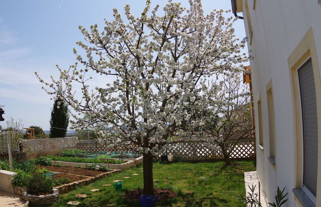 Comfortable Apartment in Vinkuran near Beach - Foto 26