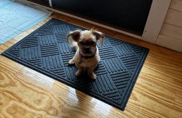 Timber Ridge Retreat - Foto 22