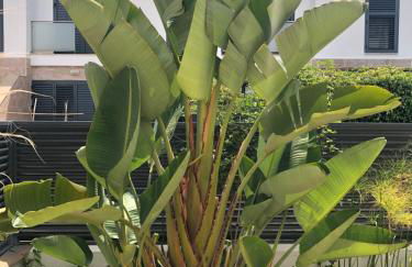 Residencial Dulcinea - Chalet - Foto 15