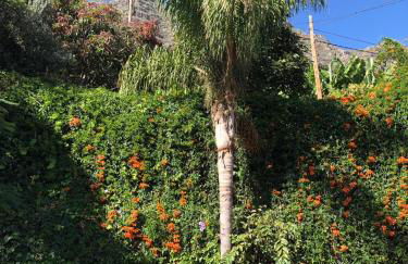 Los Corralitos - Foto 54