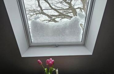 Lysholm Living Luttmersen Ferienwohnung - Foto 4