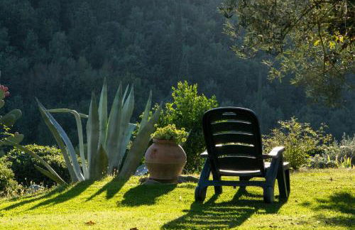 La Sassaia - Foto 33