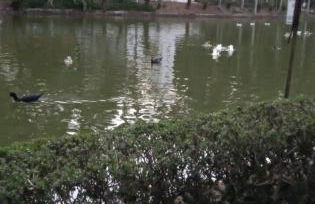 Lindo Apartamento no Condomínio Quisisana - Foto 21