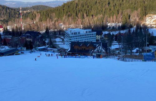 Bike Park & Spa Czarna Góra Resort - Foto 6