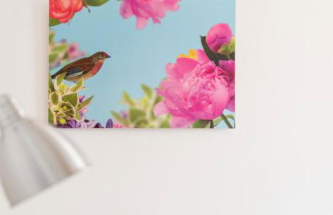 Residenza Nobel Appartamenti - Foto 77