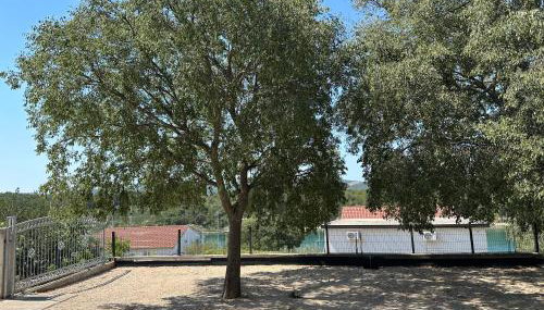 Apartmani Luka & Iva - Foto 3