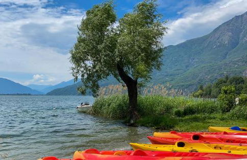 Dascio Armonia Ferienwohnung mit Terrassen am See - Foto 38