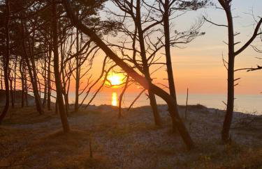 Boho House - Foto 32