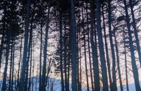 Baita Carlito - Foto 2