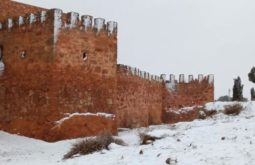 VIVIENDA VACACIONAL EL MOLINO ARGAMASILLA DE ALBA - Photo 15