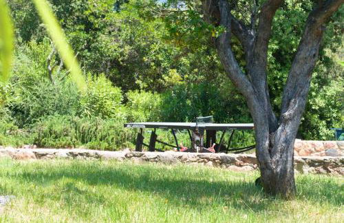 Domaine Codaleone - Foto 40