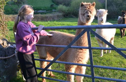 3 Bed in Parracombe BDOWN - Foto 28