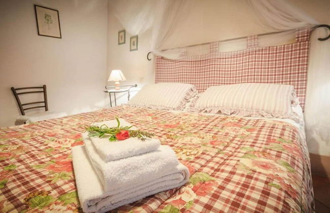 Verdidea - Podere Contignano - Photo 14