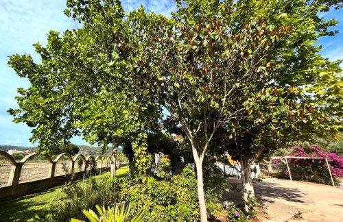 Villa Marlen - Foto 32