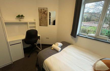 Six Bedroom House on Southmead road - Foto 10