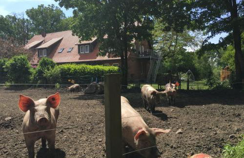 Ramakers Hof - Foto 26