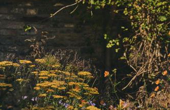 The Granary - Photo 27