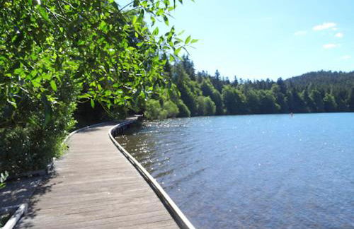 Maison d'architecte en pleine nature - Foto 44