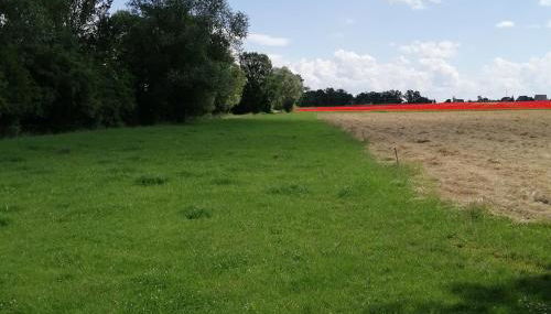 Ferienwohnung Moni - Foto 4