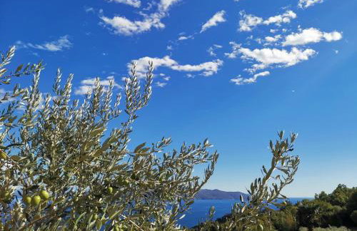 Apartman MARIJETA - Foto 17