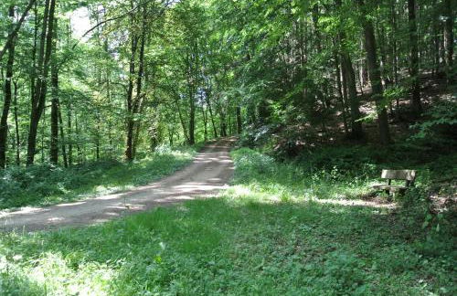 Ferienwohnung zur Mühle - Foto 72