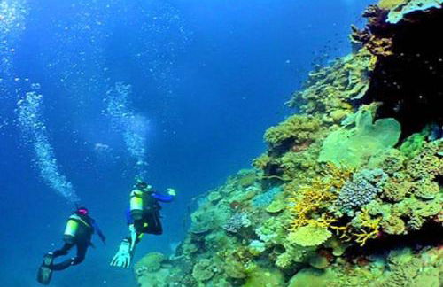 60m2 Lovely traditional apartment in Clube Albufeira - Foto 60