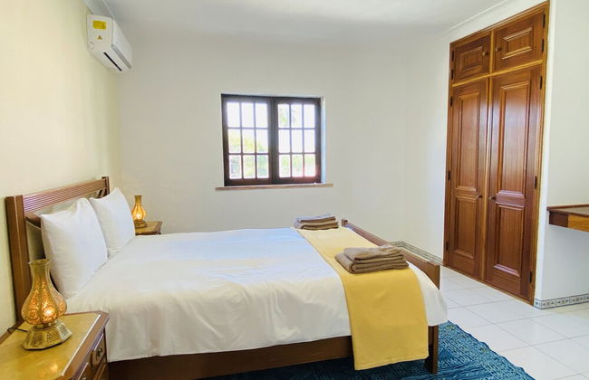 Azinheira CIP - Photo 14