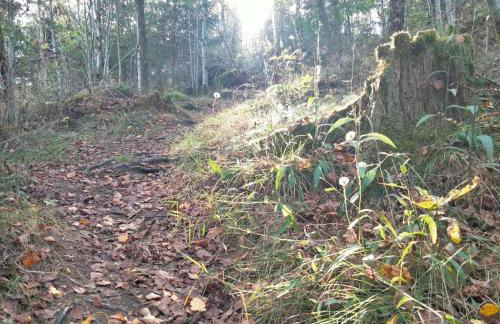 Zuhause Am Wald - Foto 73