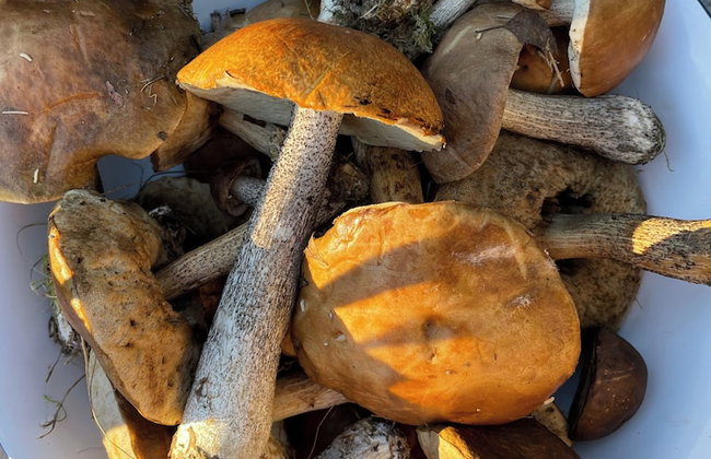 Romantic Spa Villa With Fireplace by the Lake - Foto 24