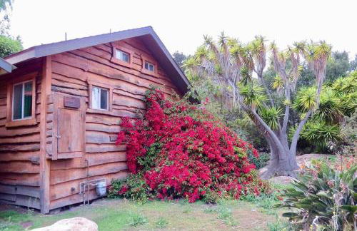 Pacific Coast Hwy Bunkhouse in San Luis Obispo - Foto 13
